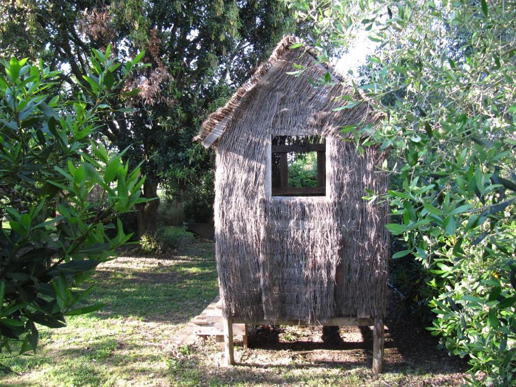 Agriturismo Lillastro Braccagni Exterior foto
